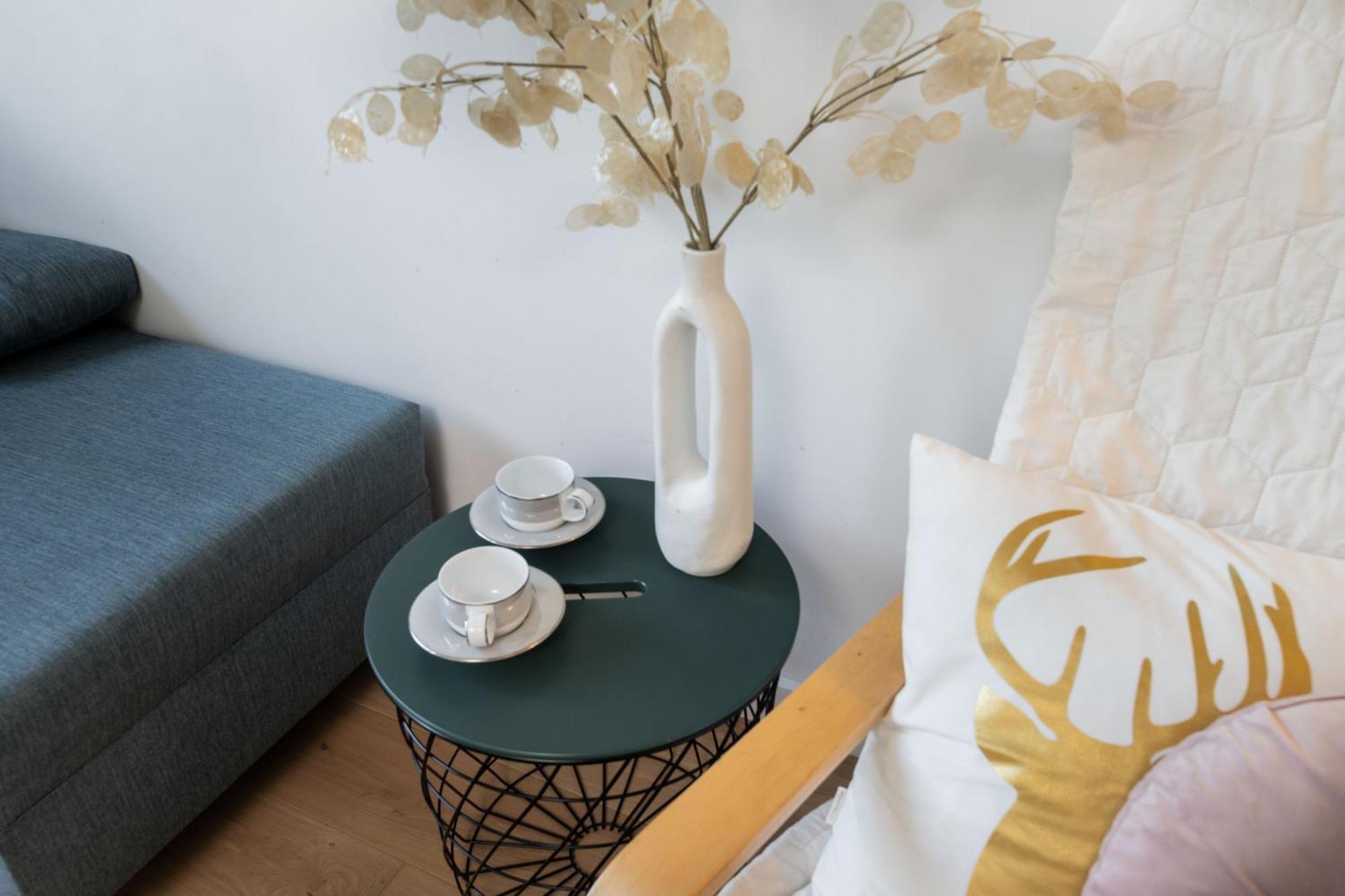 Chopin Apartment Lazienki Park Varşova Dış mekan fotoğraf